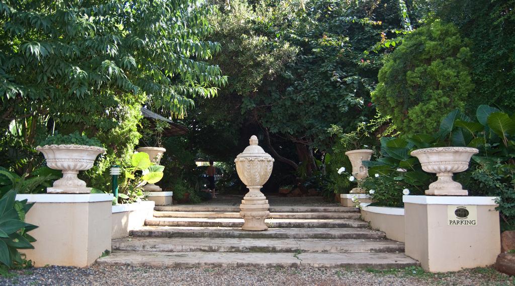 פרטוריה Brooklyn Guesthouses מראה חיצוני תמונה