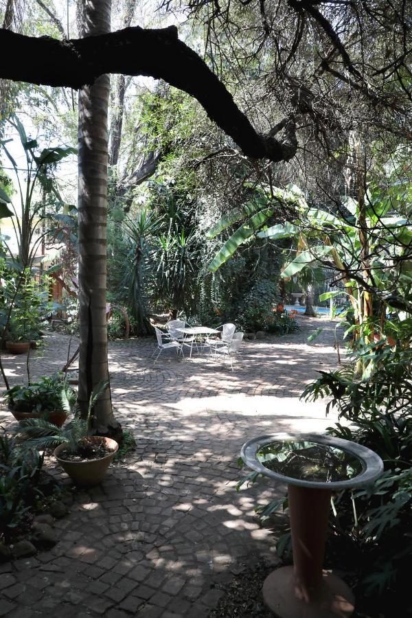 פרטוריה Brooklyn Guesthouses מראה חיצוני תמונה